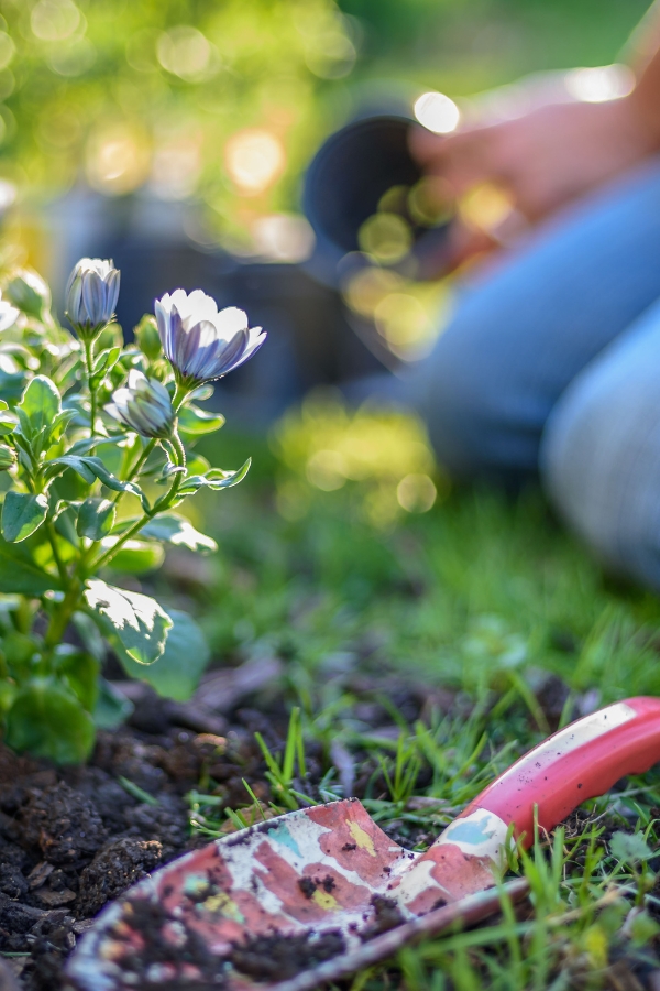 Community gardening is a good spring-inspired passion project idea